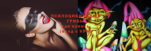 ГАЛЛЮЦИНОГЕННЫЕ ГРИБЫ Балахна