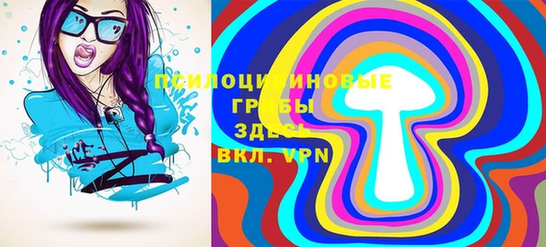 ГАЛЛЮЦИНОГЕННЫЕ ГРИБЫ Балахна