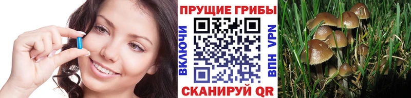 наркошоп Неман Псилоцибиновые грибы прущие грибы