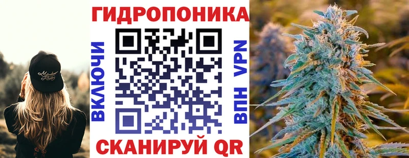 Бошки марихуана семена купить наркоту Неман